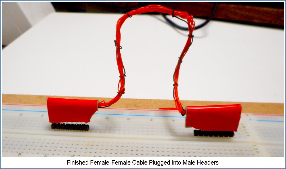 Image shows finished assembly of Female-to-Female Cable.